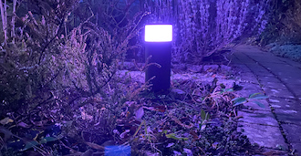 Philips Hue Calla Test