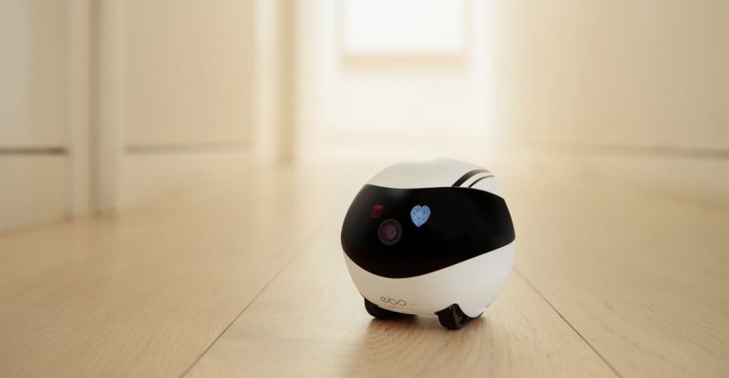 Überwachungskamera für Katzen