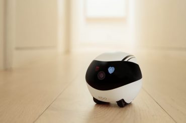 Überwachungskamera für Katzen